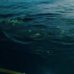 <span class="title">マルタ共和国・マグロ養殖場</span>